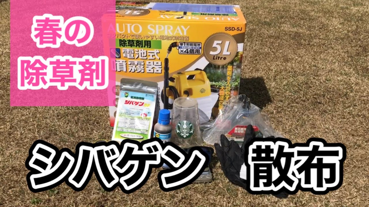 【理想の芝生へ・TM9＋西洋芝】725日目　春の除草剤散布　初めて使うシバゲンDFを撒いて見ましょう！
