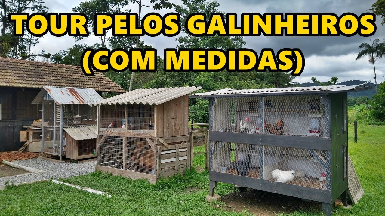 Mostrando todos os galinheiros e viveiros do nosso sítio (com medidas) | Coração Campeiro
