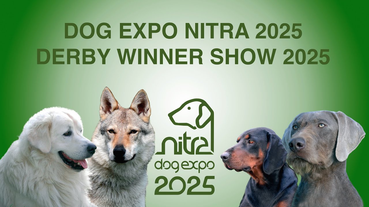 DOG EXPO NITRA 2025 Sunday