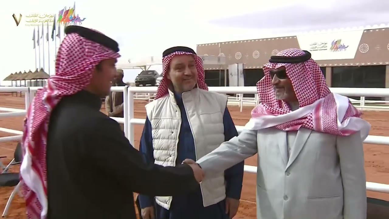 🎥 |  عروض فئة نخبة النخبة للون الشقح 🐪 ضمن منافسات #مهرجان_الملك_عبدالعزيز_للإبل7