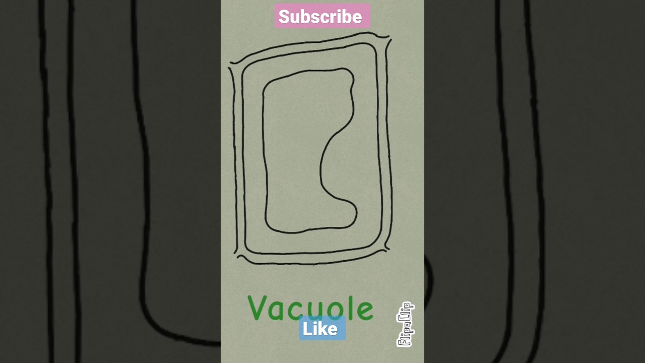 Drawing plant cell structure| Botany/Biology|science