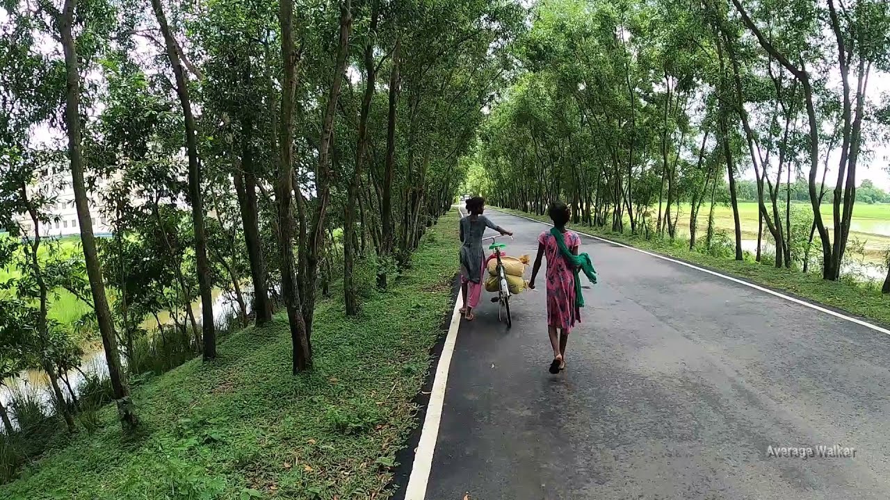 Walking Through a Village Road in West Bengal, India| Village Walk | Average Walker