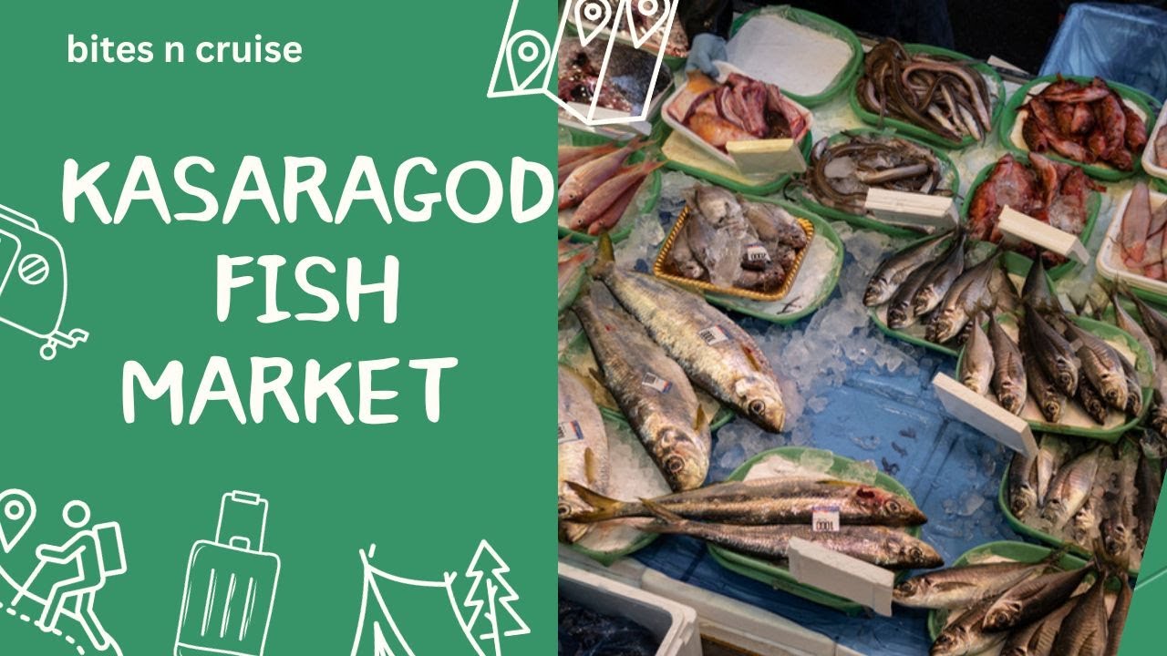 EXPLORING KASARAGOD FISH MARKET 2023 #kasaragod #market #fishmarket #freshfish #fishing #trending