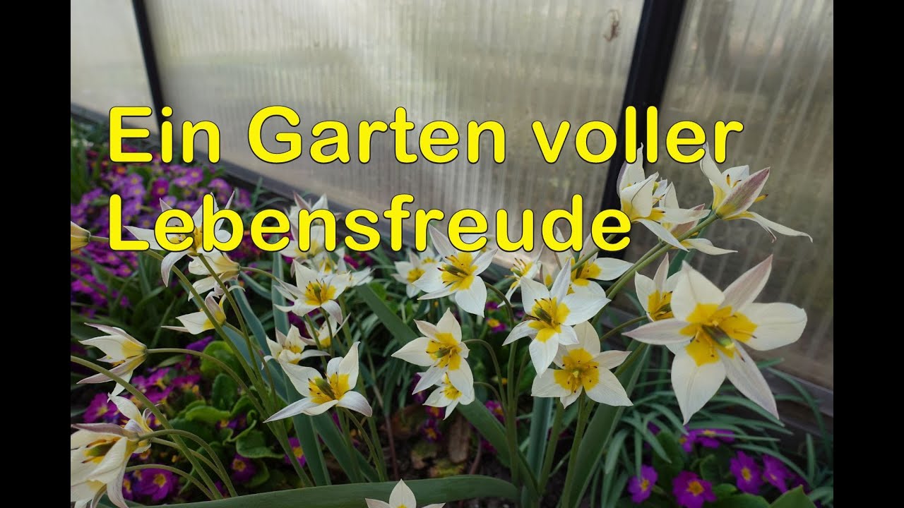 Hausgarten Rundgang April und Mai