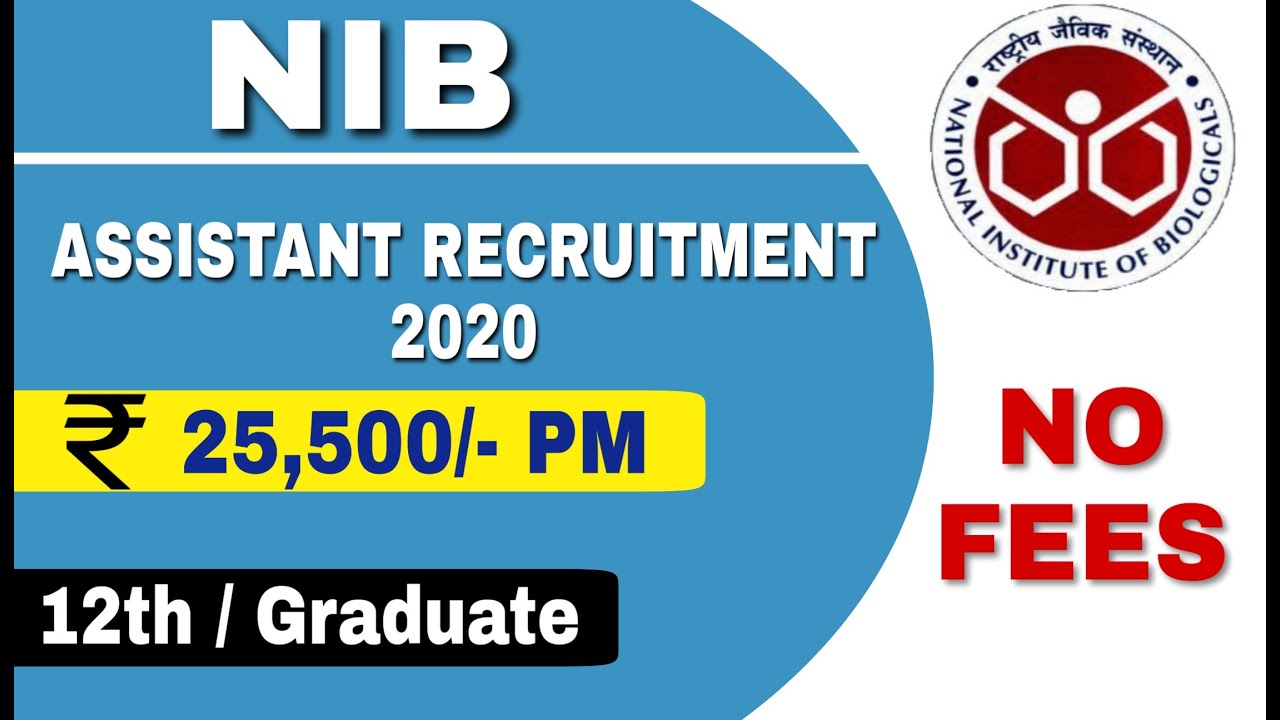 NIB Recruitment 2020 | Assistant | No Fees | 12th / Graduate | Apply Online | Learn Technical