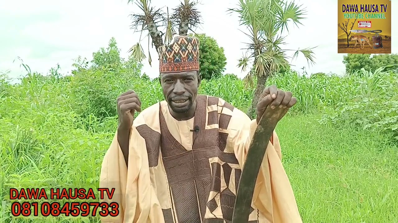 NA TABA KASHE BARAWON DAJI GOMA SHA SHIDA A RANA DAYA, CEWAR MAI DAWAN JIBIYA, JIHAR KATSINA.