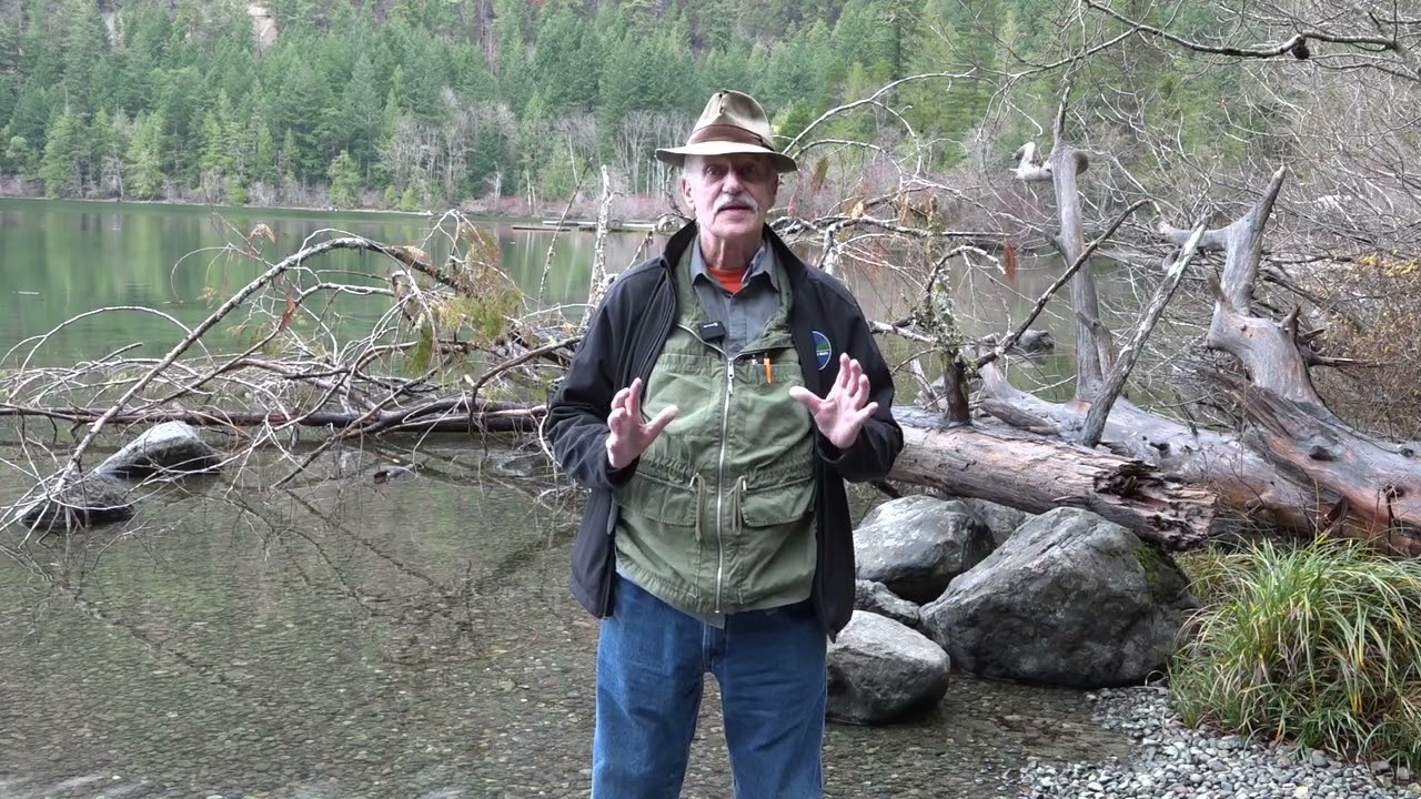Time Bites: The Cameron Lake Monster