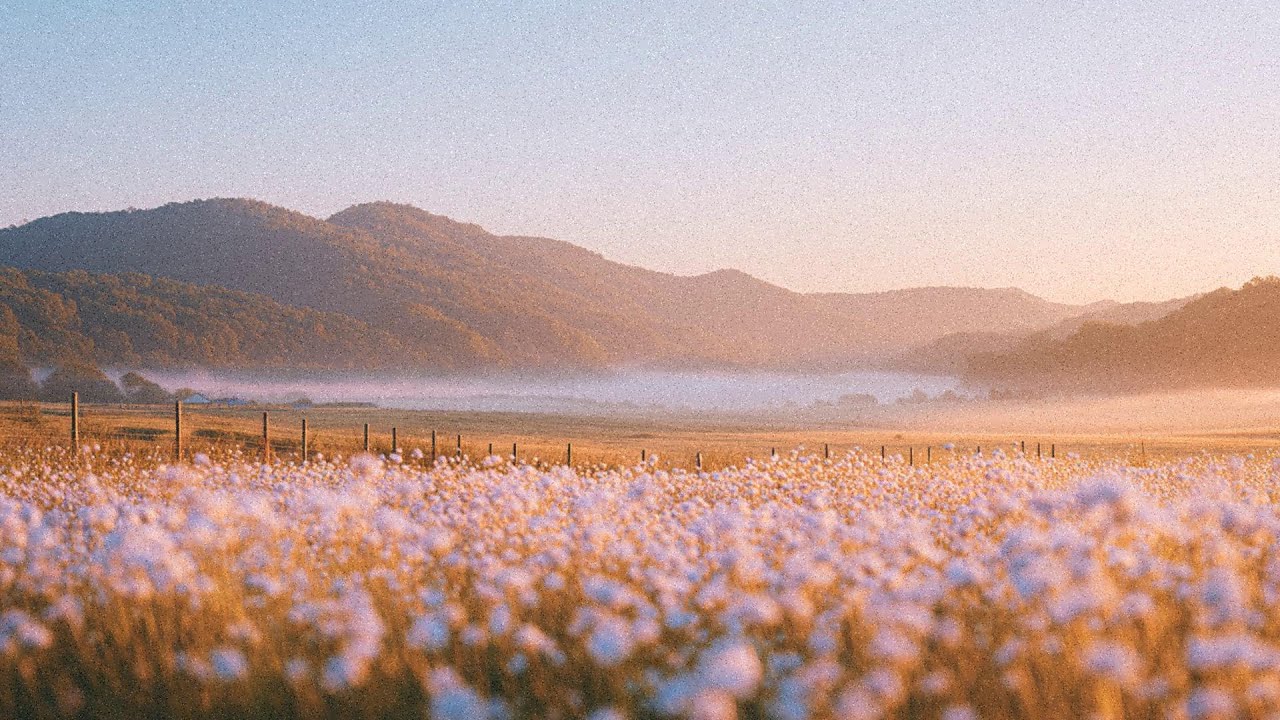 a romantic playlist for reading at home on a rainy autumn afternoon
