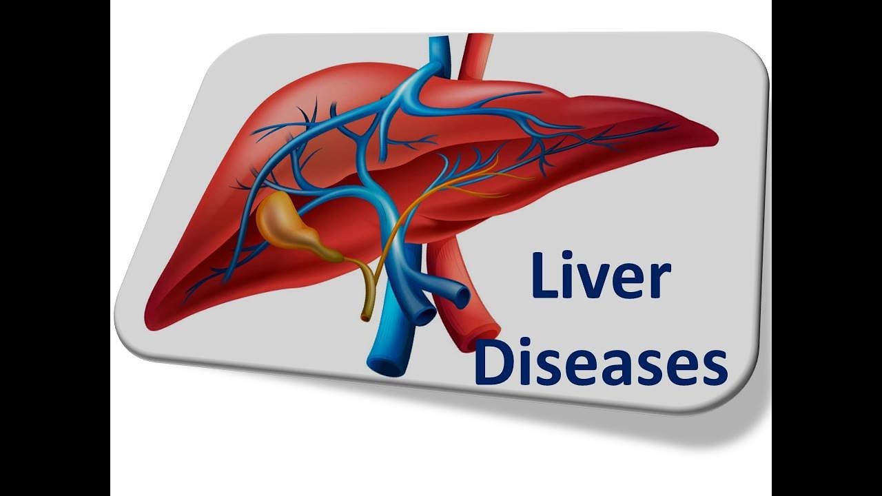 Non-Alcoholic Fatty Liver Disease NAFLD Part 1 : Full Hepatology Course