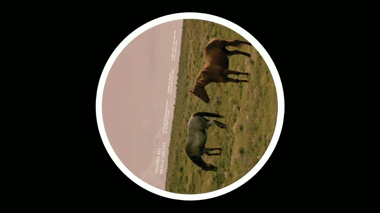 [New Vinyl Release] Braga Circuit – Thanks All