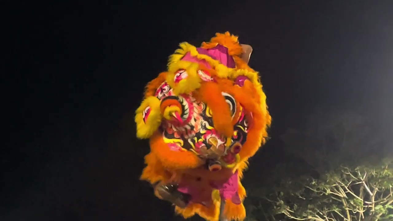 Xã Trung Thành (VL) 29 Tết: LÂN MÚA CỘT