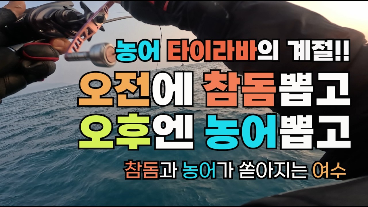 여수 타이라바 출조!! 농어와 참돔이 쏟아집니다!! 쏟아져!!
