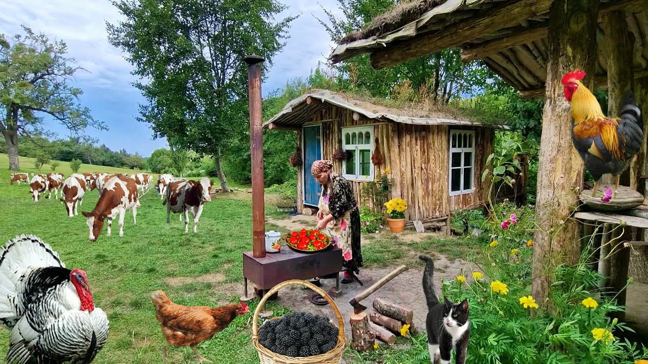 Три Самых Вкусных и Простых Рецепта из Натуральных Продуктов в Одном Видео.