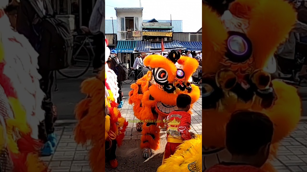 M&uacute;a L&acirc;n Cực Đẹp #funny #tettrungthu #mualantet #muaongdia #liondance #skibiditoilet #catbaby #lsr