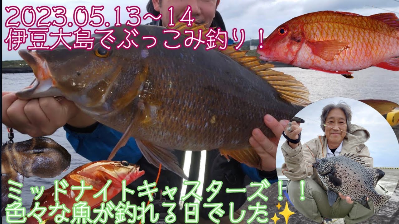 伊豆大島でぶっこみ釣り！多種な魚が釣れる楽しい日でした(2023.5.13〜14)