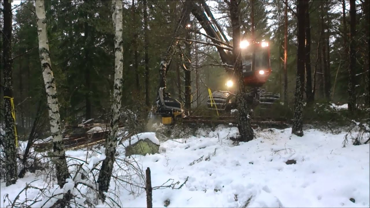 Valmet 901tx Kesla 25RH2 gallring1
