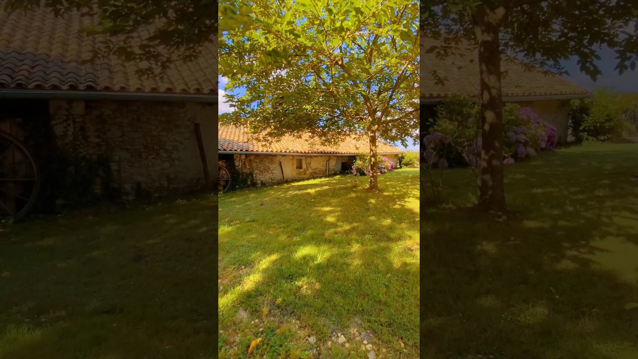 You wake up in a french country mansion at 10 o'clock in the morning 🥰 