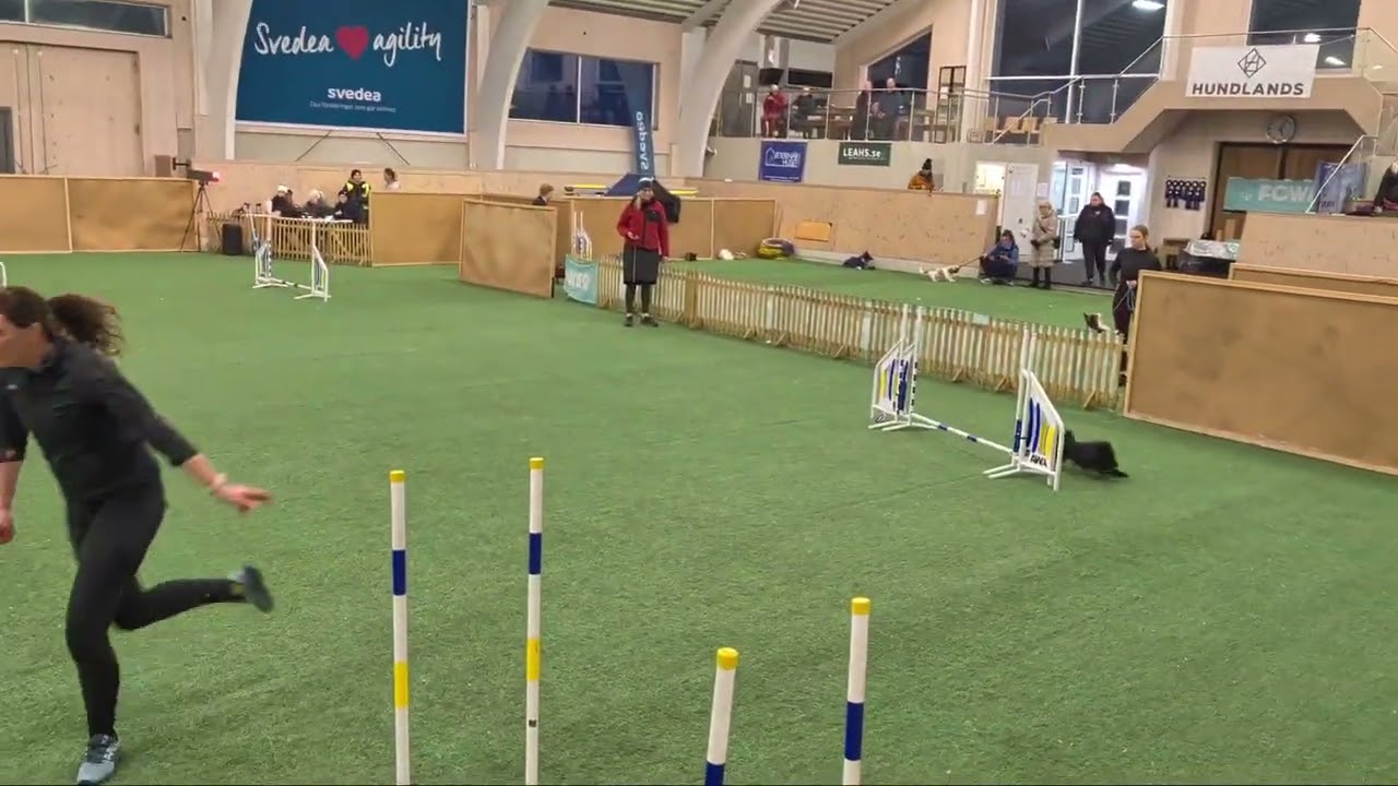 Xola ag3 Hundlands 8 februari 2026