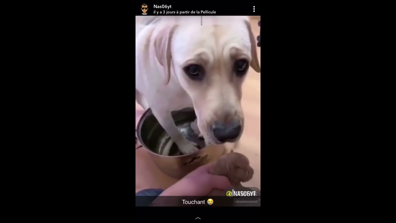 Nas 06 videos droles humour nas06YT