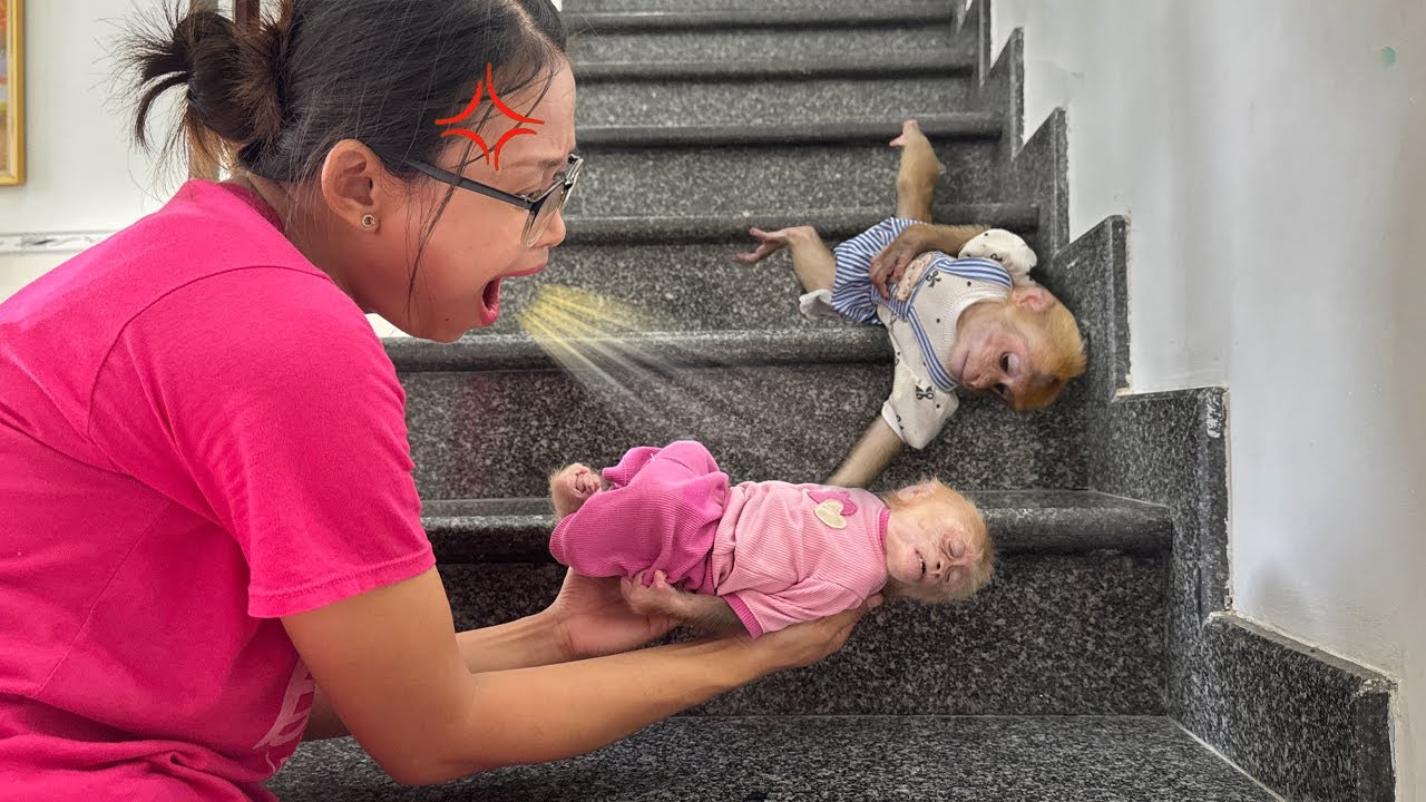 Mom panicked when she saw Lucky and Sunny lying motionless on the stairs &ndash; What happened?