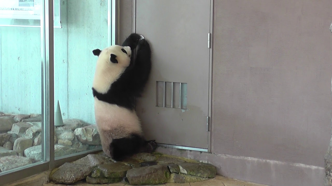2018 06 22 結浜のその後