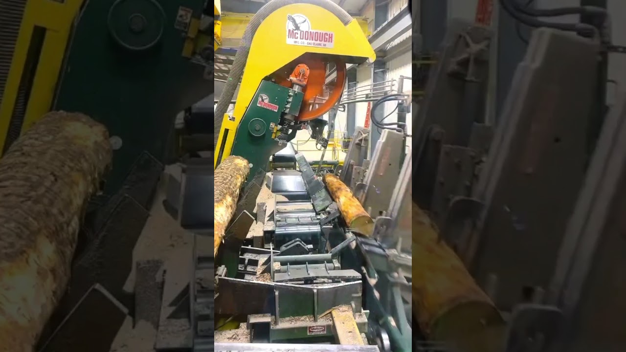 Double Blades Sawmill #sawmill #woodwork