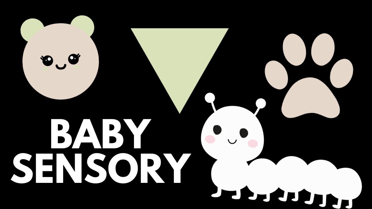 Baby Sensory Video 🌿 | Low Stimulation | Calm Music & Simple Shapes for Babies | 40 minutes