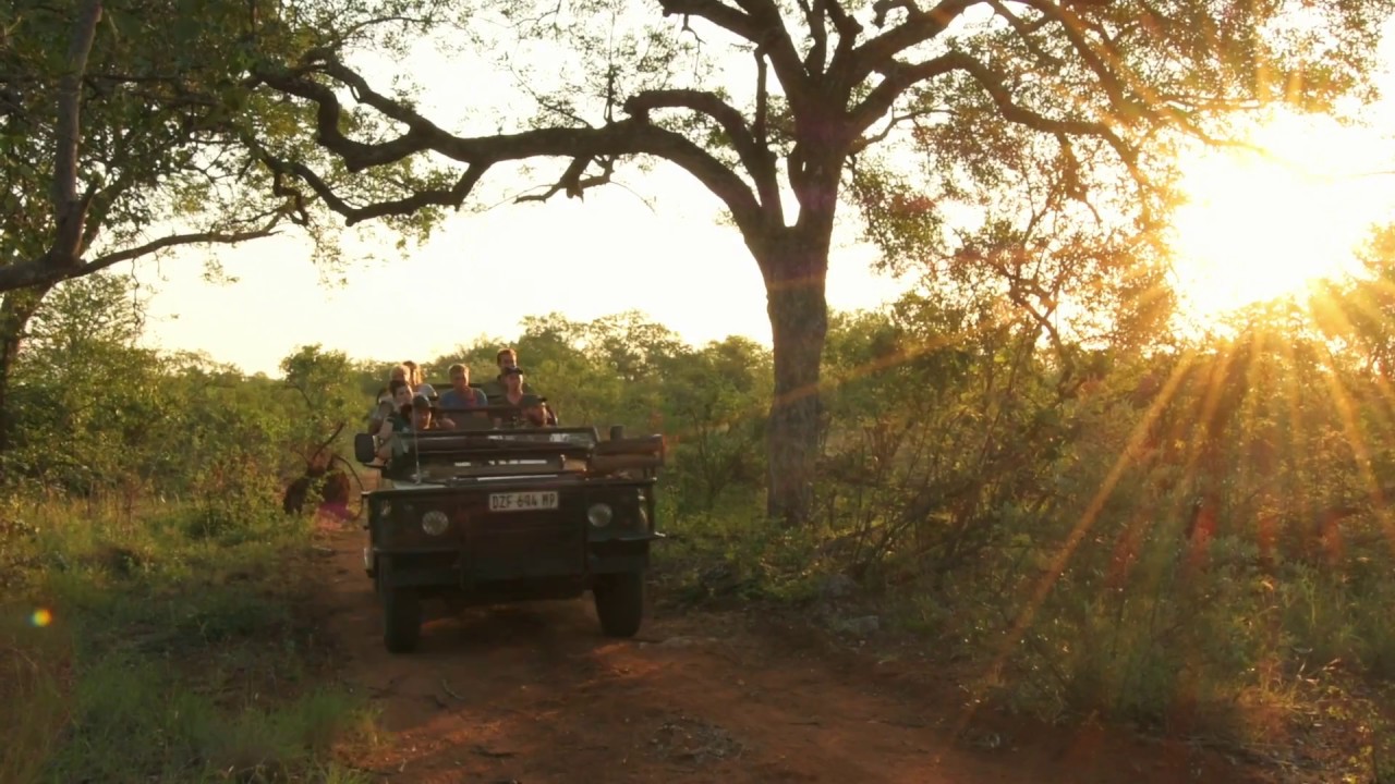 Everyday Life as a Safari Guide student | Eco Training