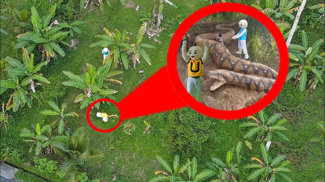 UPlIN MENANGKAP RAJA ULAR KAMPUNG DURIAN RUNTUH?!