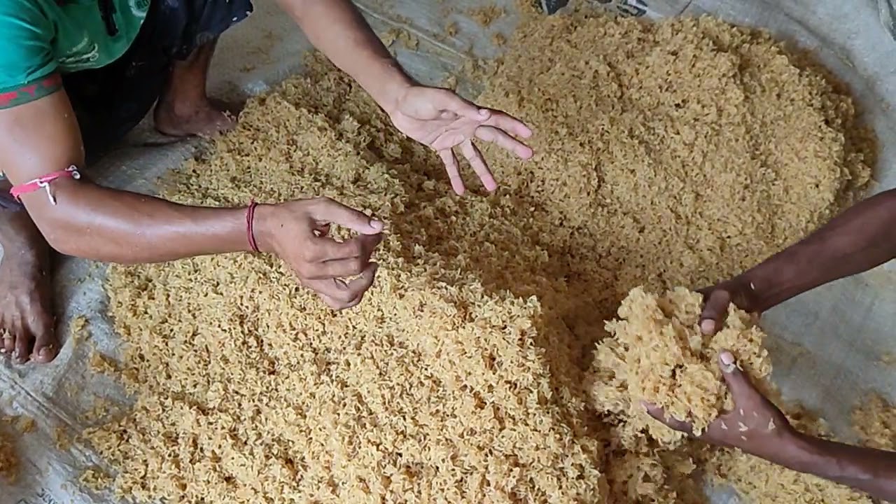 #Muri Rice Ready Process, মুড়ির চাল কিভাবে তৈরি করবেন ভিডিও টি দেখুন