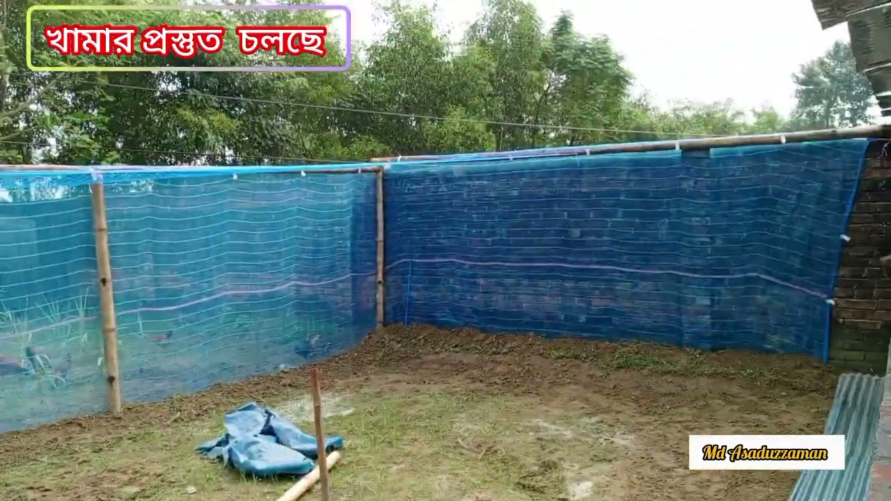 প্রথম বার মুরগীর খামার দিলাম। Md Asaduzzaman। মুরগী।