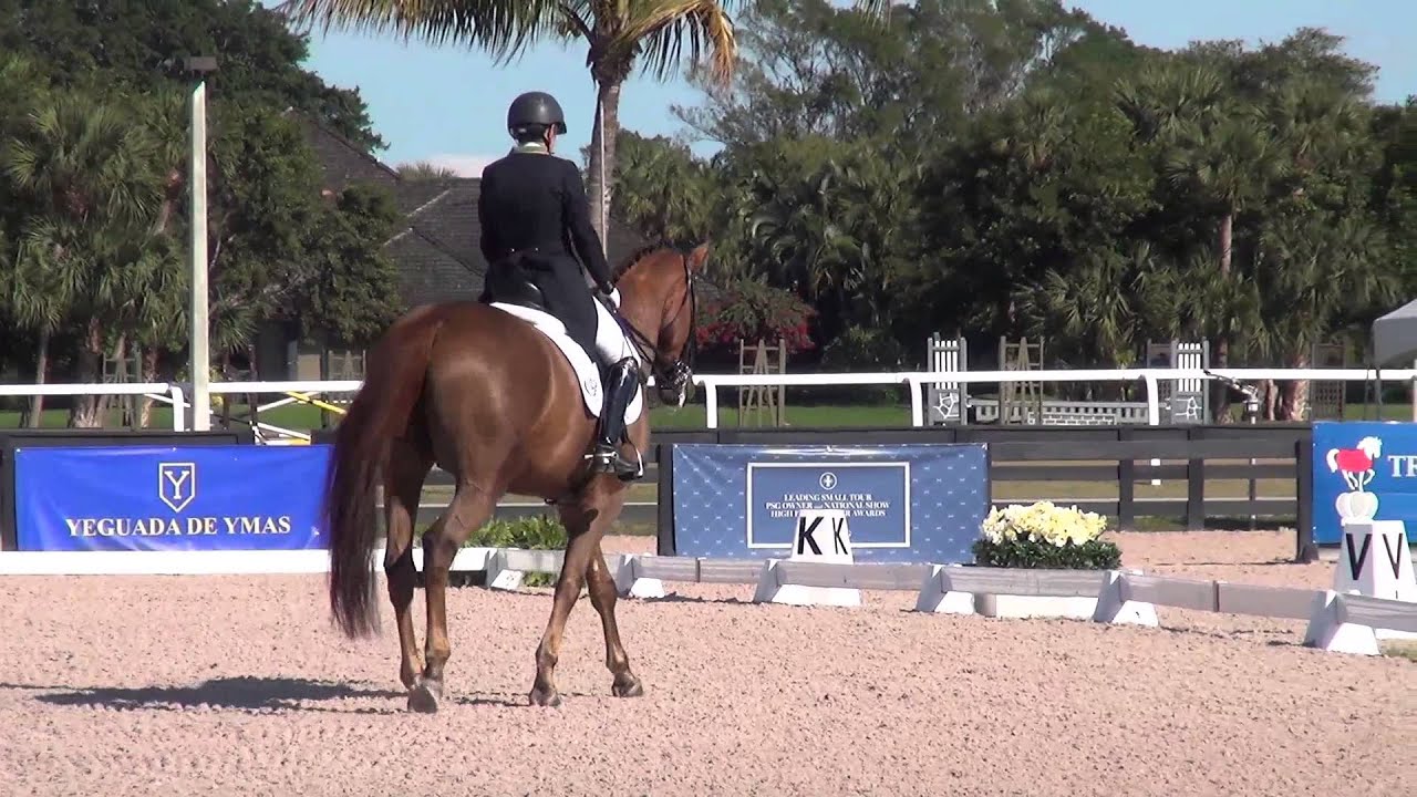 Ilse Schwarz Don Joseph PSG 1 22 15 ILSE@HORSESPROTUSA Cadenza123