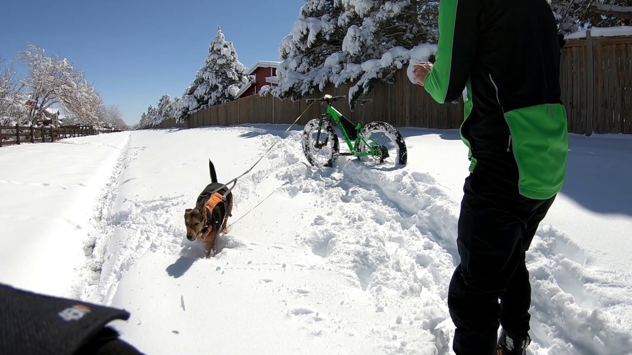 Fatbiking Experiment on the Trek Farley 8