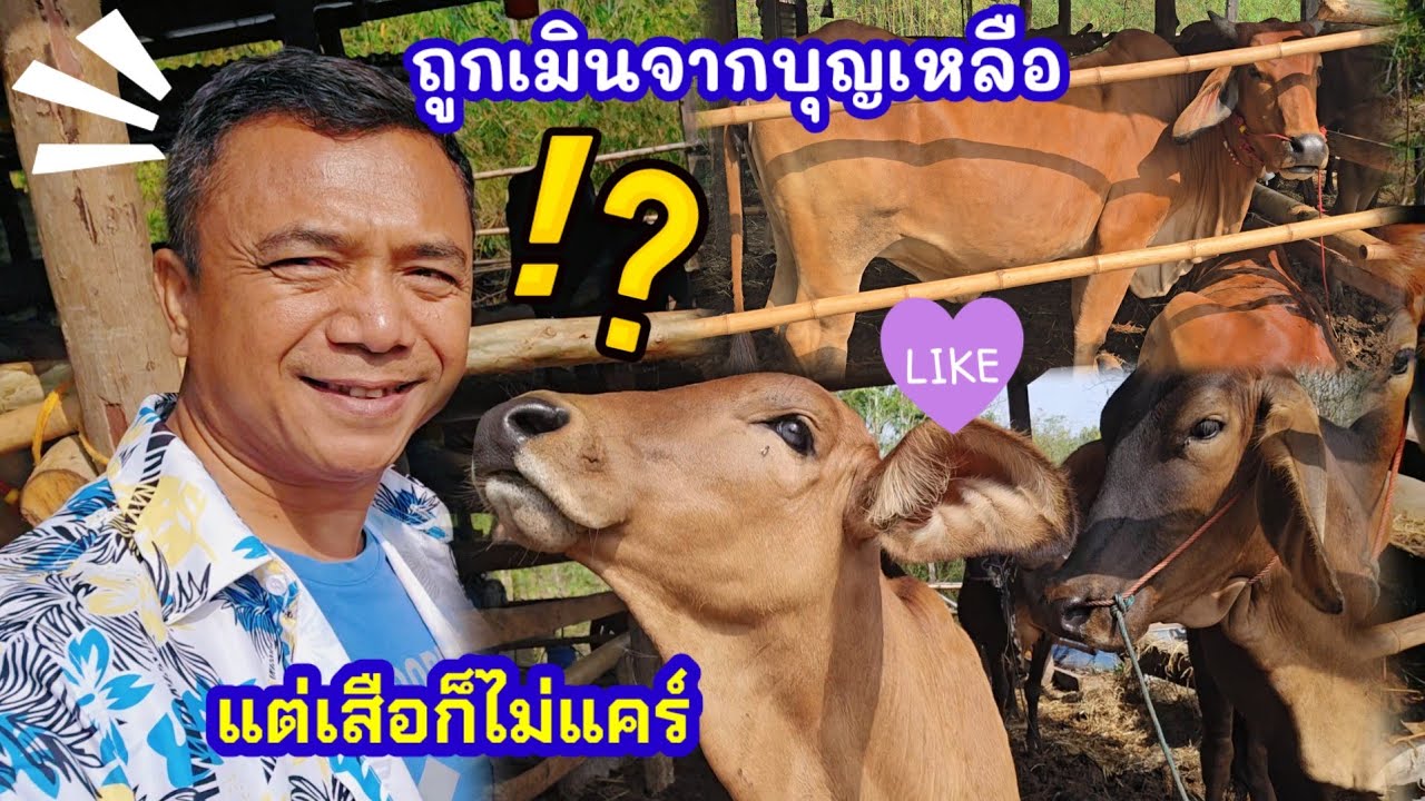 ถึง4ก. ต้องตกใจ..ใครน่ารักกว่าที่คิด..ป้าฝากอะไรไว้กับคนอยู่นา