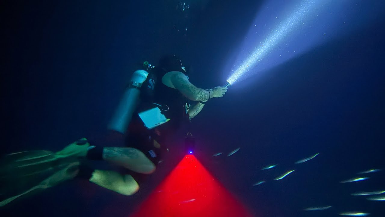 Manta Ray Heaven  dive, Mar 2025