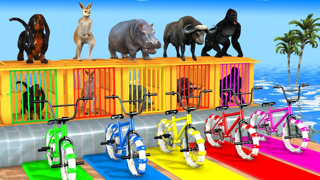 Long Slide Game With Cow Elephant Gorilla Hippopotamus Tiger 3d Animal Game Funny 3d Animals