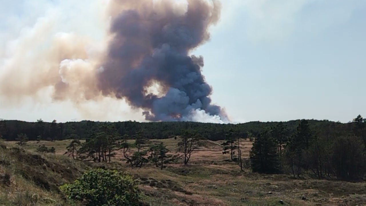 Storbrand i Skagen Klitplantage