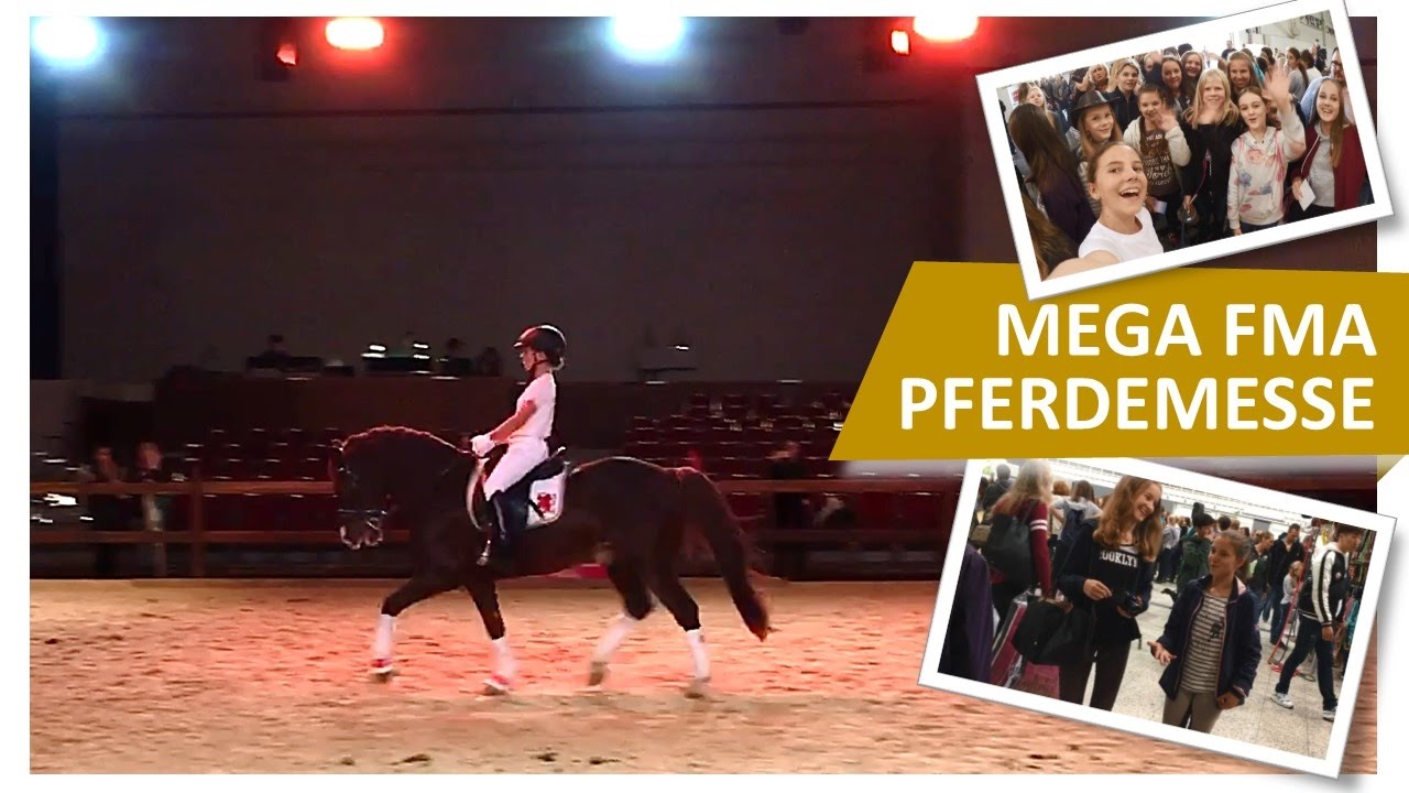 FMA Hund & Pferd 2016: Mein Überraschungsauftritt auf Solido 🐴 Fan-Treffen ❤️ Backstage