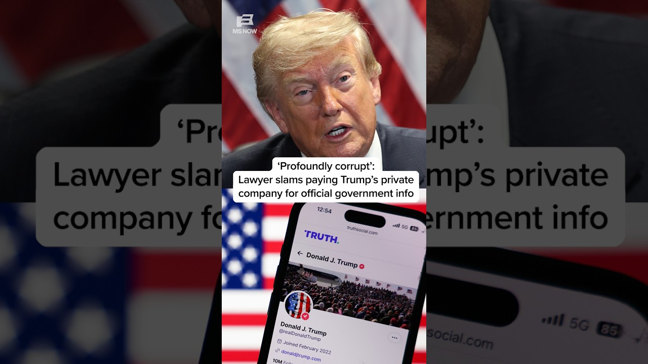 'Profoundly corrupt': Lawyer slams paying Trump's private company for official government info