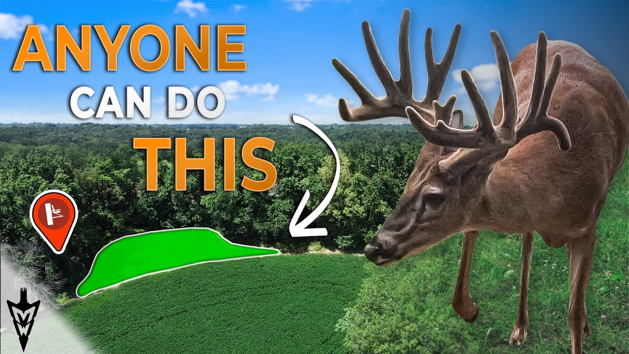 Food Plots Anyone Can Do, A Full Breakdown On Cost Saving Methods | Midwest Whitetail