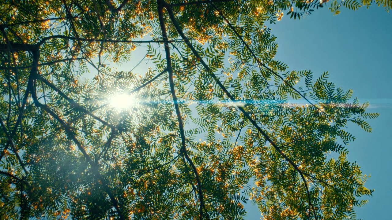 LA State Historic Park | film emulation | sony fx3