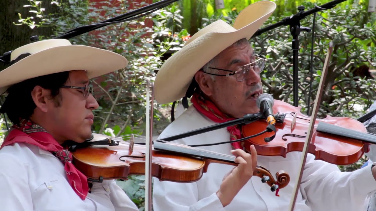 Los Salmerón y Maximiliano Julio Crispín - Gusto: Cuánto he sufrido; son: El Toro de once
