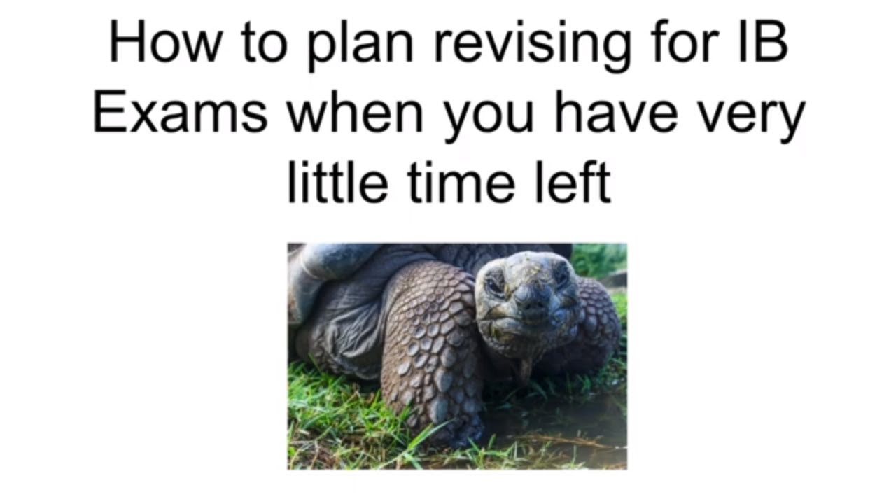 Who else left IB revision to the last minute?  (One tip that'll help a lot!)