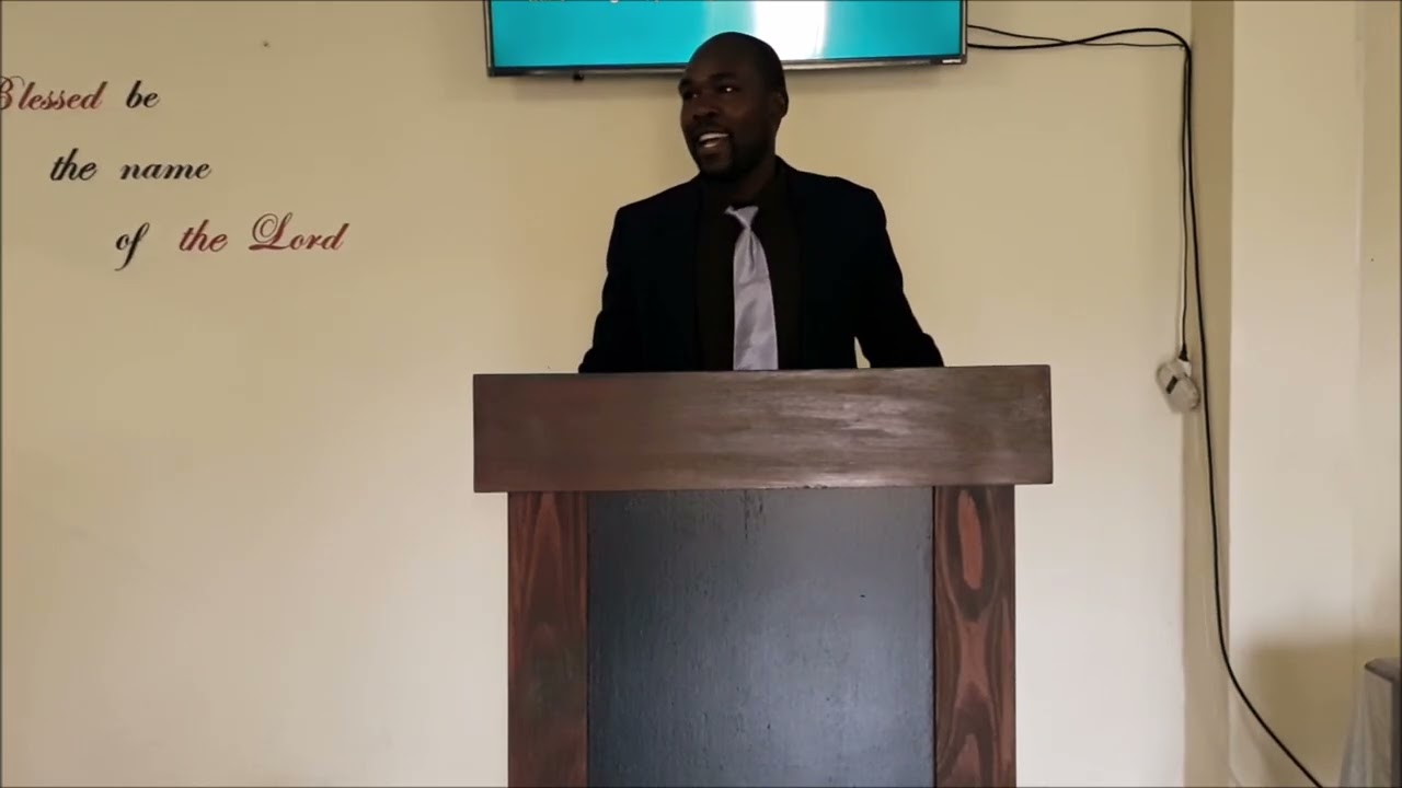 The Gospel according to Paul -  Spencer Lamula