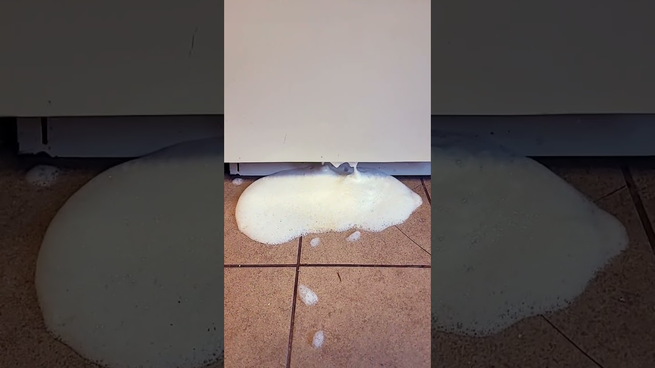 My Dishwasher Is Puking Foam!