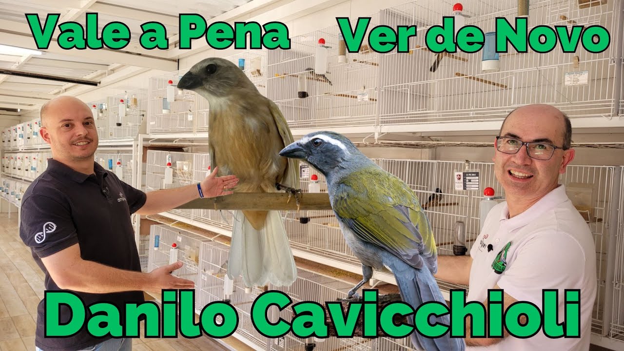 TRINCA FERRO ESPETACULARES DO CRIATÓRIO PARANÁ!!!Vale a Pena Ver de Novo.