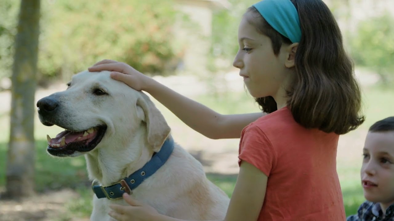 Podcast: Living with a pet allergy