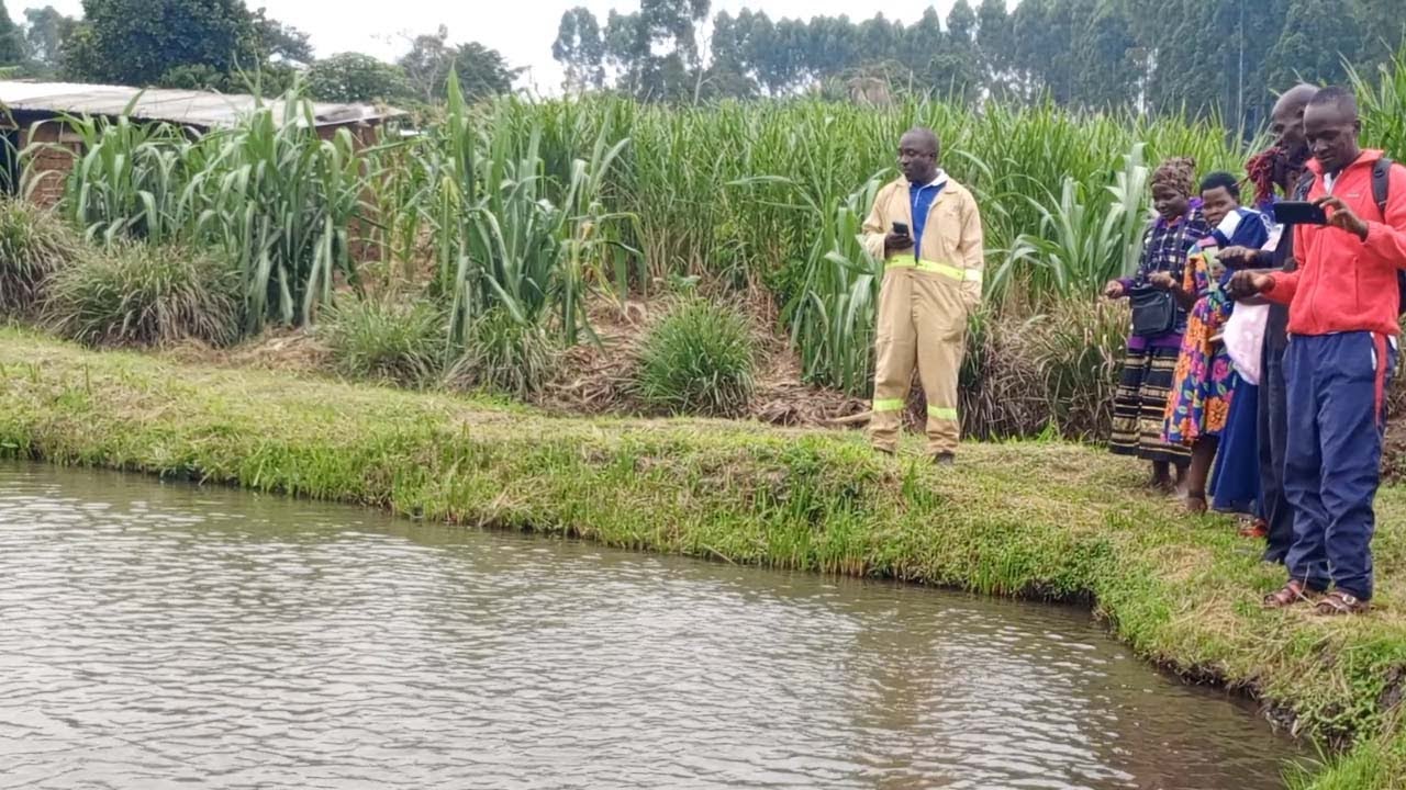 Continuation of  Tour and Learn at Busesa Demonstration Farm