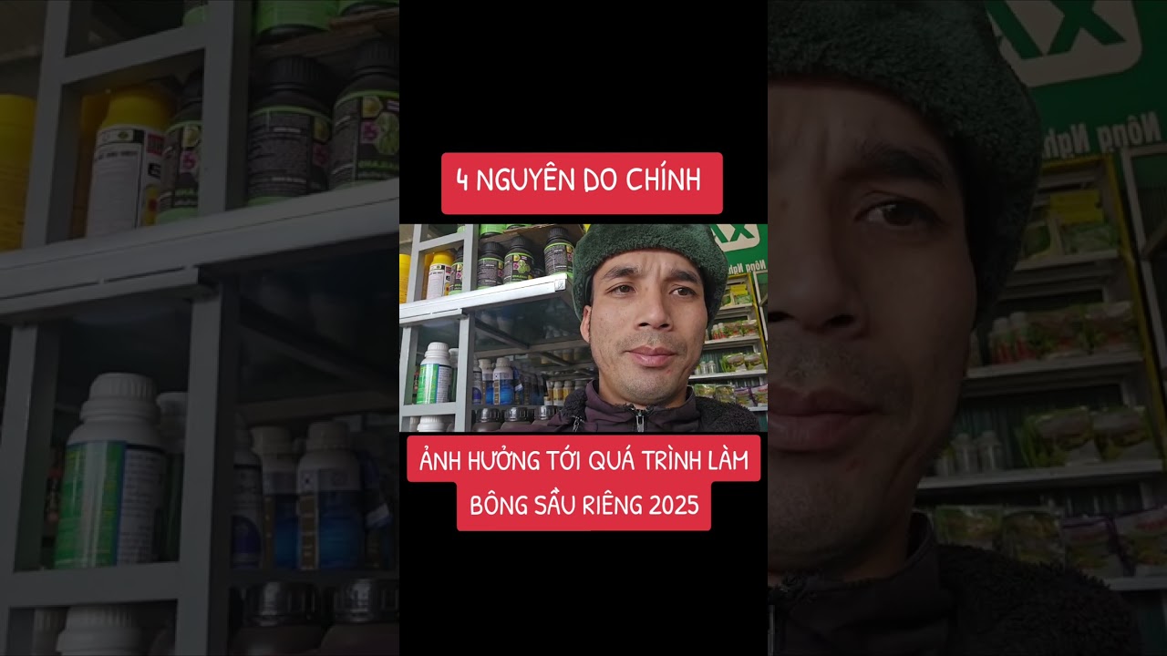 04 NGUY&Ecirc;N DO CH&Iacute;NH G&Acirc;Y ẢNH HƯỞNG ĐẾN VIỆC L&Agrave;M B&Ocirc;NG SẦU RI&Ecirc;NG 2025