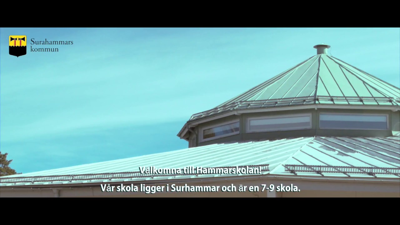 Hammarskolan